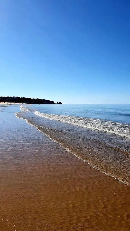 Dunas 142 Alvor
